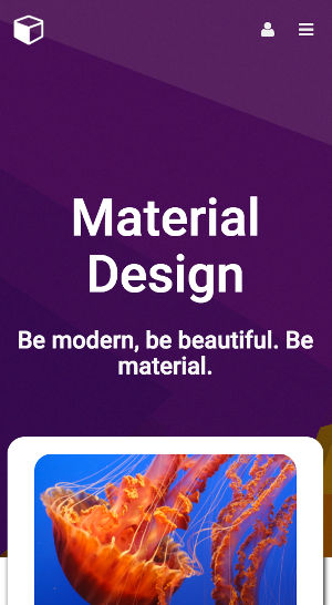 Material