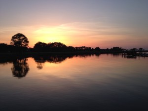 Constant In The Whirl