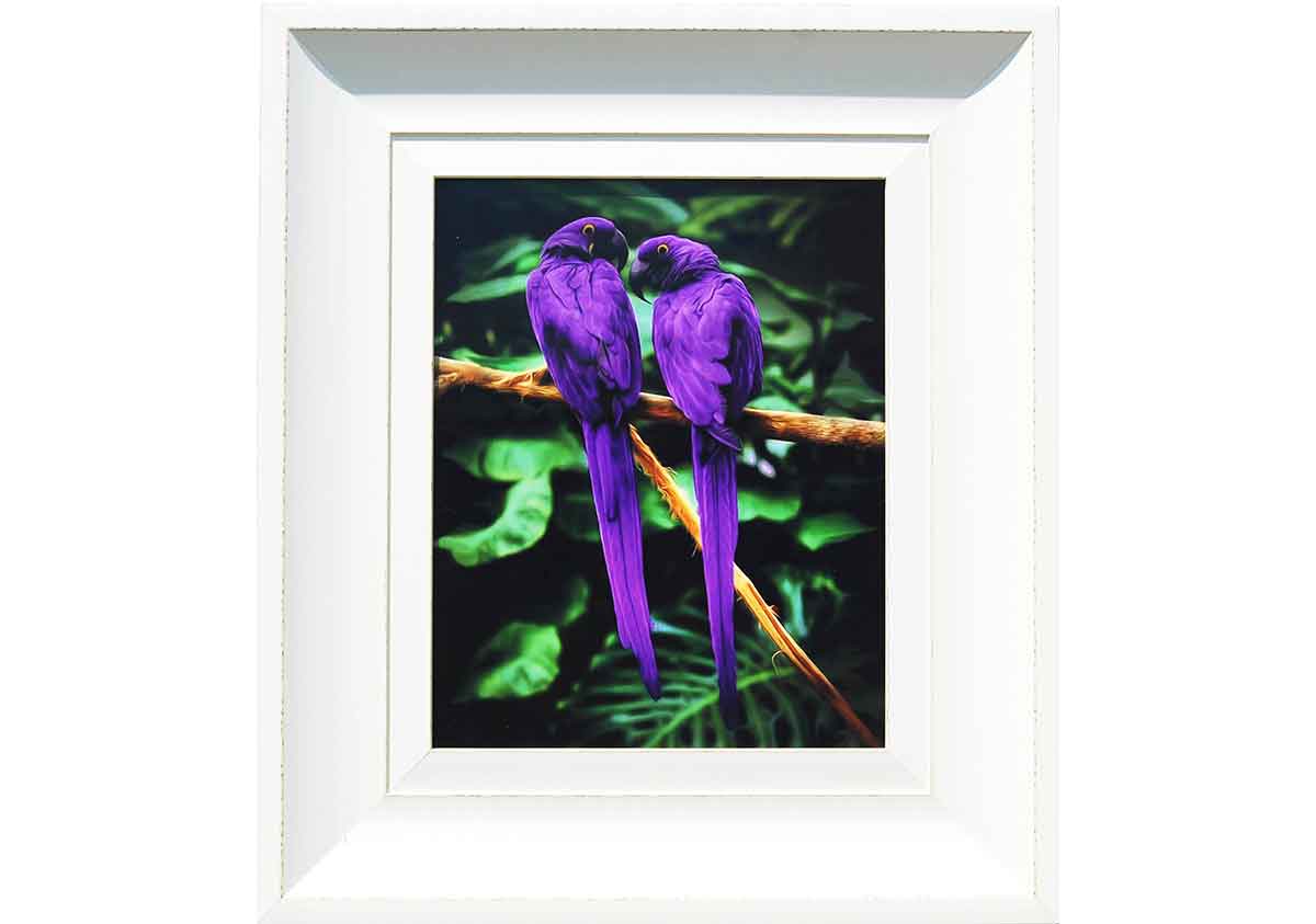 Two Birds