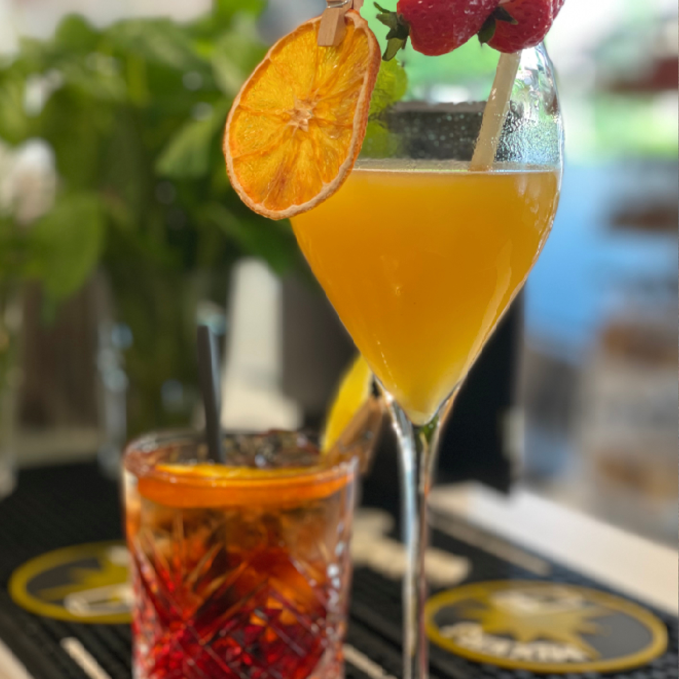 Caffetteria, Bistrot, Gelateria, Aperitivi
