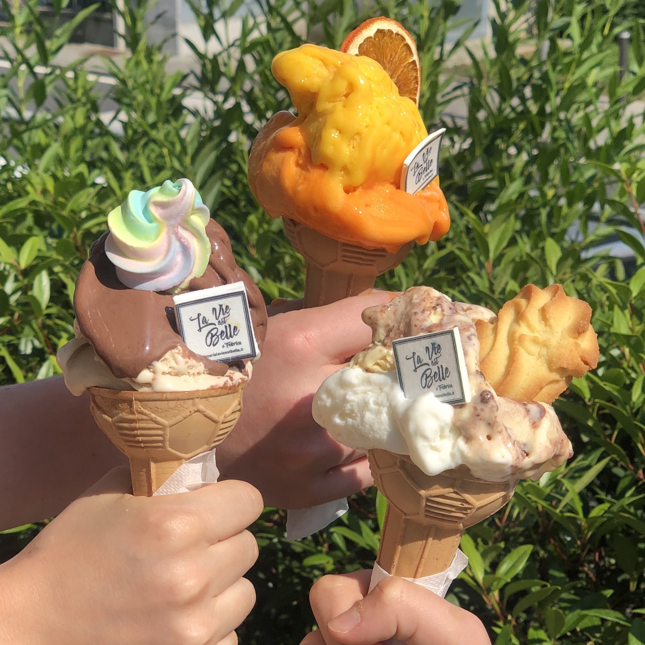 Gelato