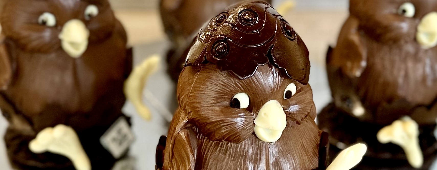 Pasqua on line