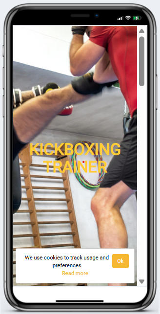 Kickboxing Trainer