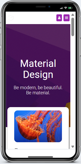 Material